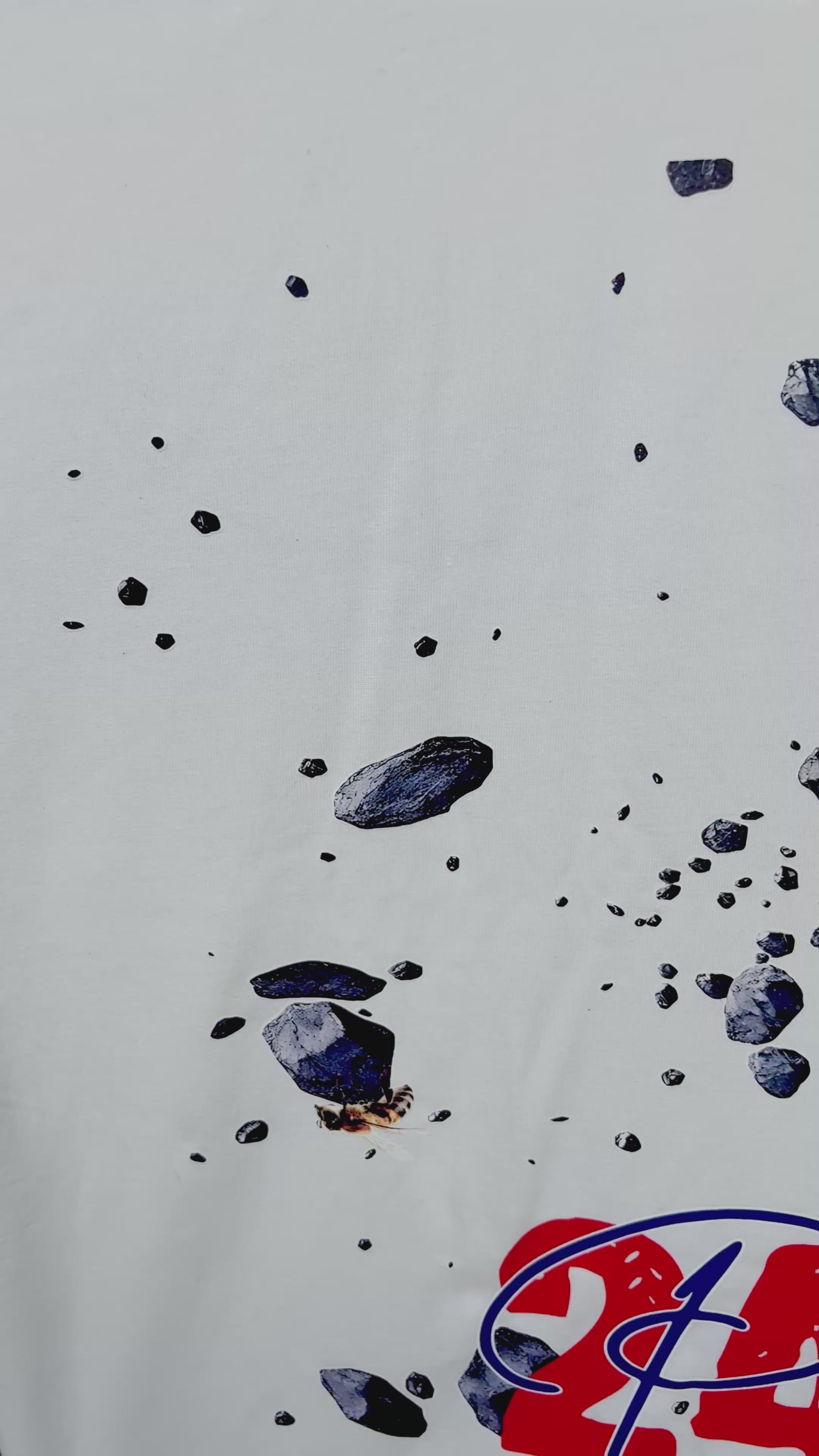 Genesis 2420 T-Shirt